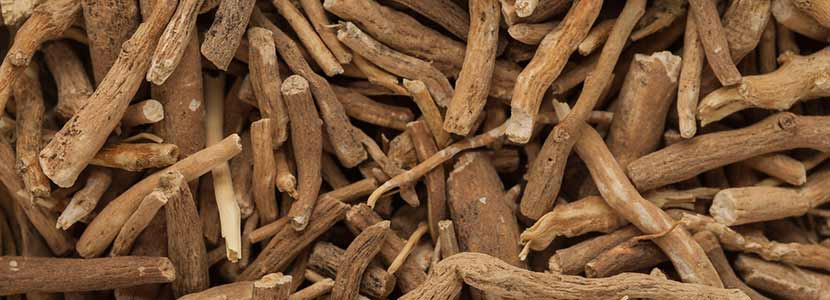 Adaptogens are like best friends "root"ing you on - Part 1