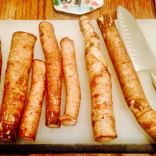 Pickled Burdock Root Recipe for Nourishment, Clear Skin and More