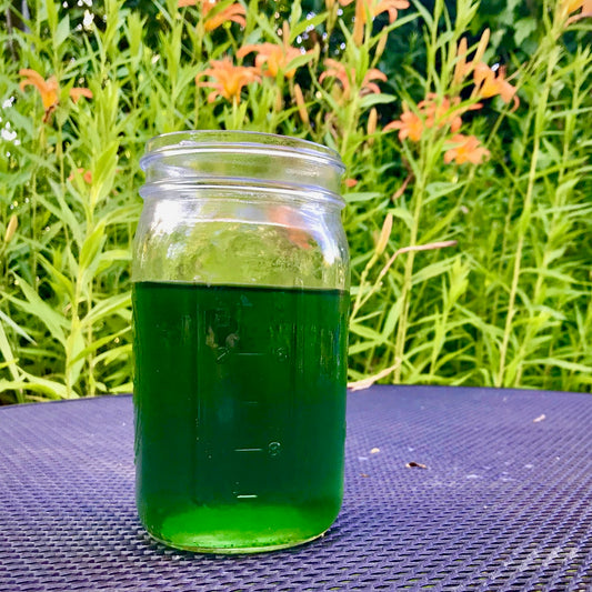 Hot vs. Cold Herbal Infusions: how-to make, what’s the difference, and benefits of each
