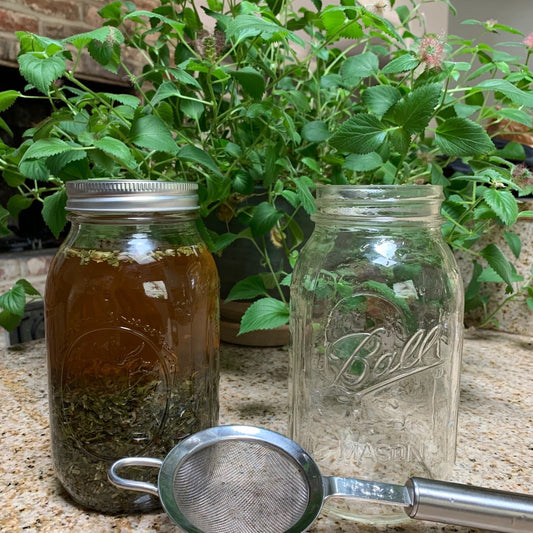 How to make an herbal infusion: what is it, why do it, and where to get supplies
