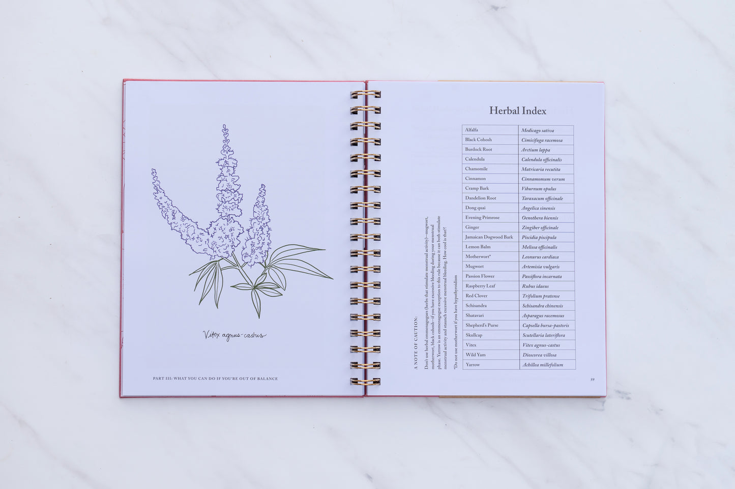 Menstrual Calendar Journal: Go with the Flow