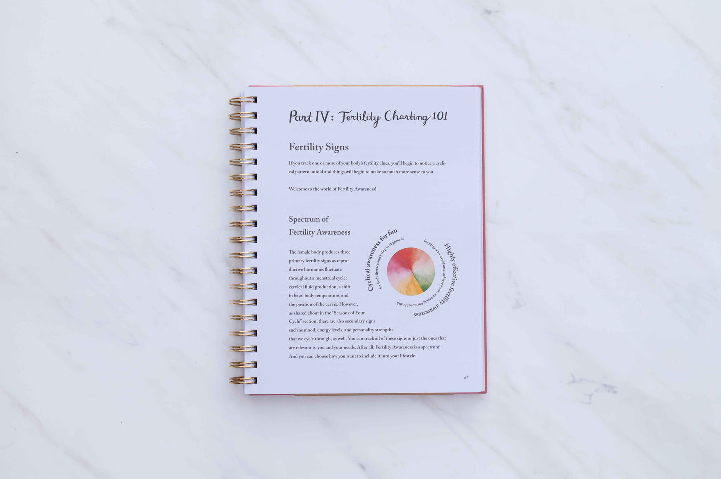 Menstrual Calendar Journal: Go with the Flow