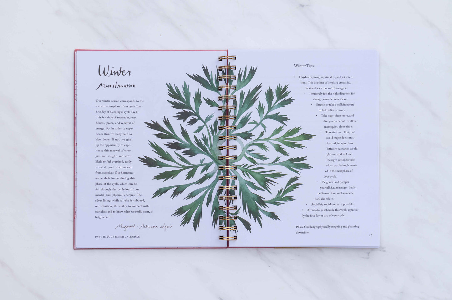 Menstrual Calendar Journal: Go with the Flow